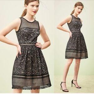 Eliza J Black and Nude Lace Sleeveless Mini Dress